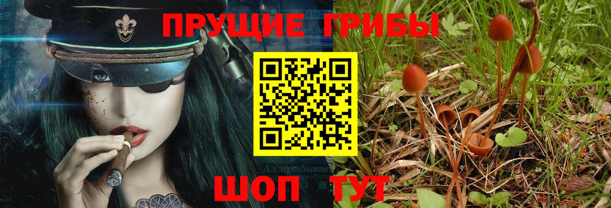 Псилоцибиновые грибы мицелий Первоуральск