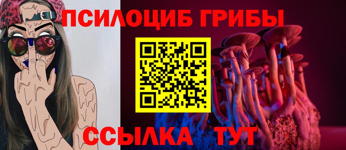 Галлюциногенные грибы Cubensis  Вход с VPN  Первоуральск  Галлюциногенные грибы GOLDEN TEACHER 